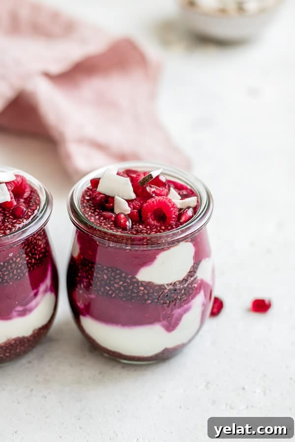 raspberry pomegranate chia pudding parfait
