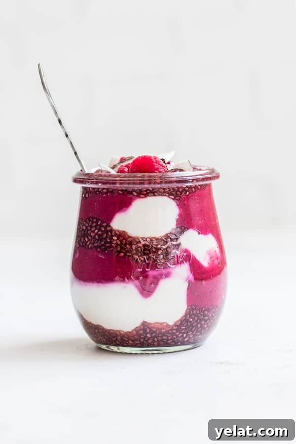 raspberry pomegranate chia pudding parfait