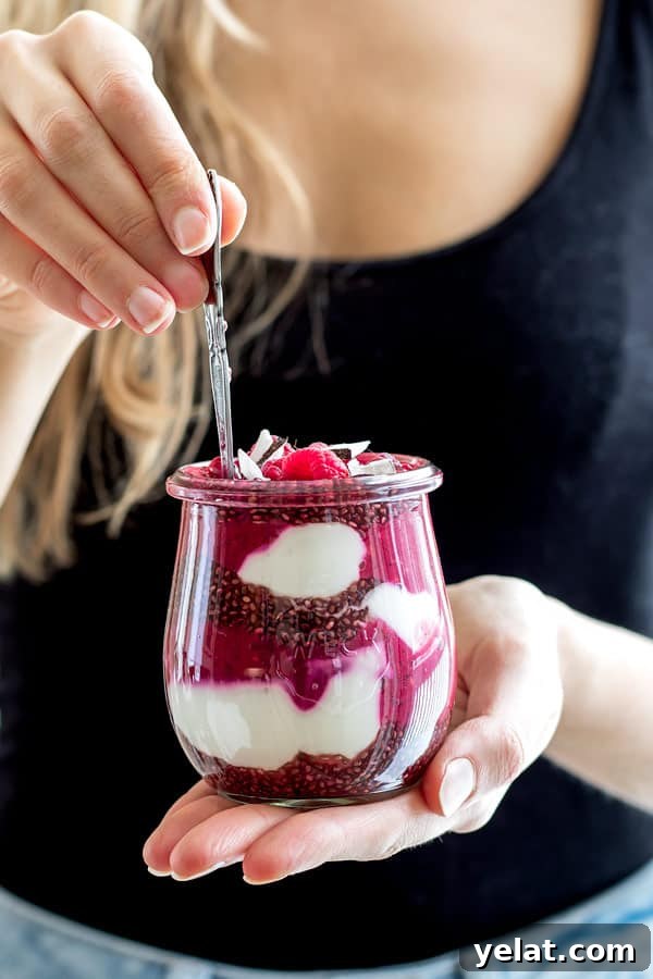 raspberry pomegranate chia pudding parfait
