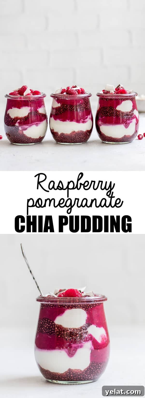 This raspberry pomegranate chia pudding parfait is a healthy and easy breakfast that is gluten-free, vegan, paleo, and whole 30 approved! 