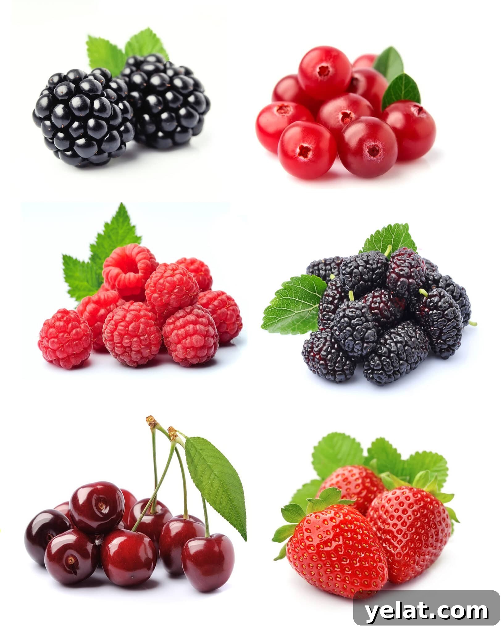 Low-Carb Pantry Essentials for Baking: Flour Substitutes & Staples 13 Low carb pantry essential berries & fruit isolated on a bright white background (cherries, blackberries, currents, raspberries, and strawberries)