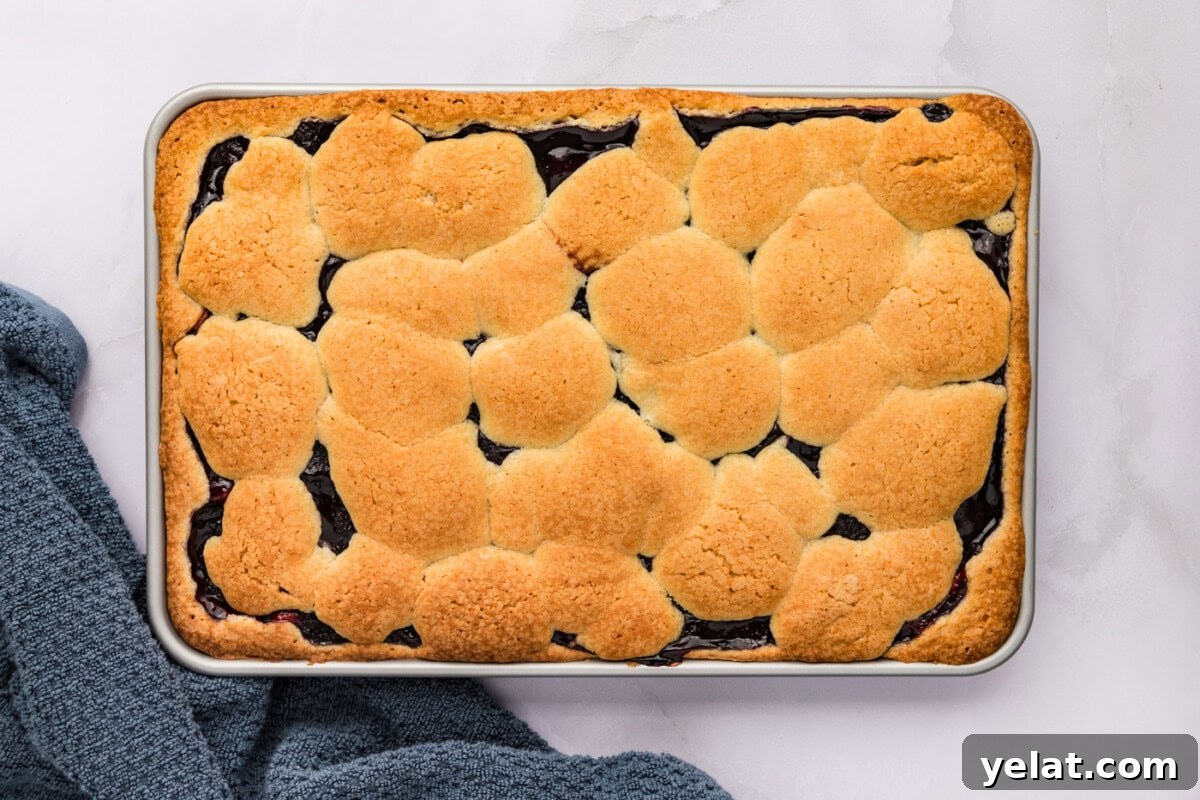 Irresistible Blackberry Pie Squares Recipe for Summer Gatherings 12 overhead of blackberry pie squares after being baked