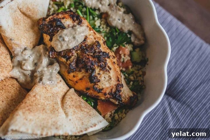 Chicken breast on a bed of tabouli with pita bread on the side.