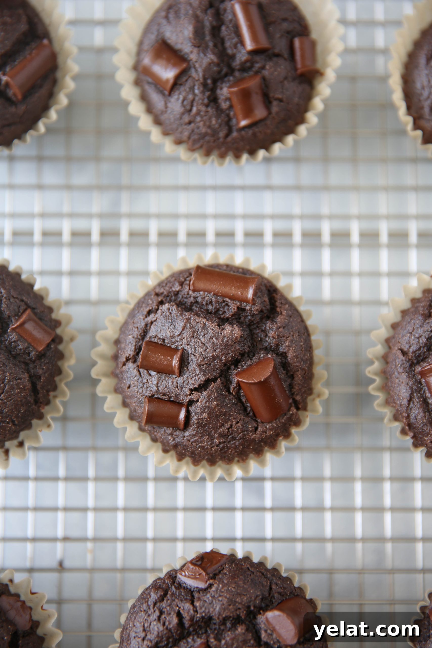 PaleOMG Double Chocolate Greek Yogurt Muffins (yes, dairy-free)