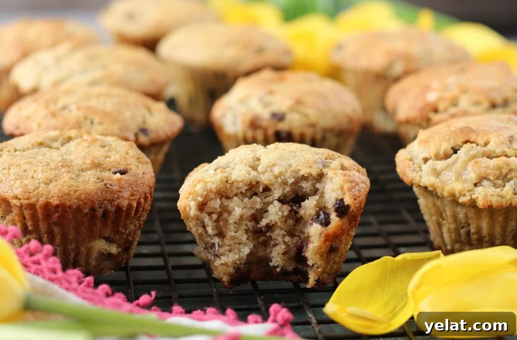 PaleOMG Super Easy Chocolate Chip Banana Walnut Muffins