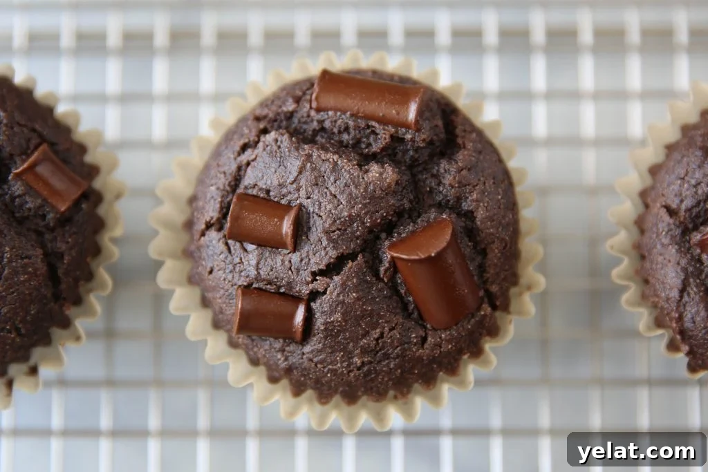 PaleOMG Double Chocolate Greek Yogurt Muffins (yes, dairy-free)