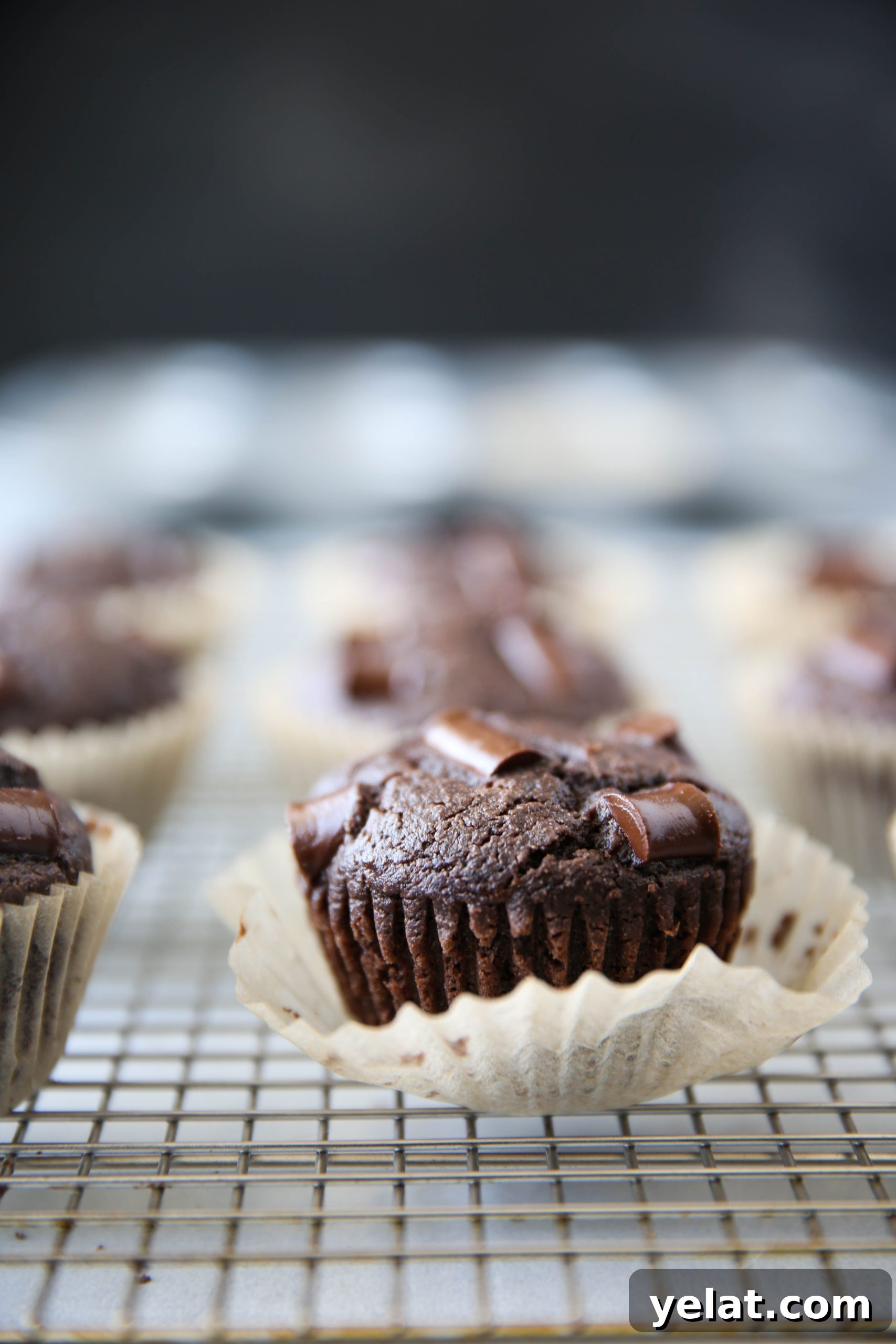 PaleOMG Double Chocolate Greek Yogurt Muffins (yes, dairy-free)