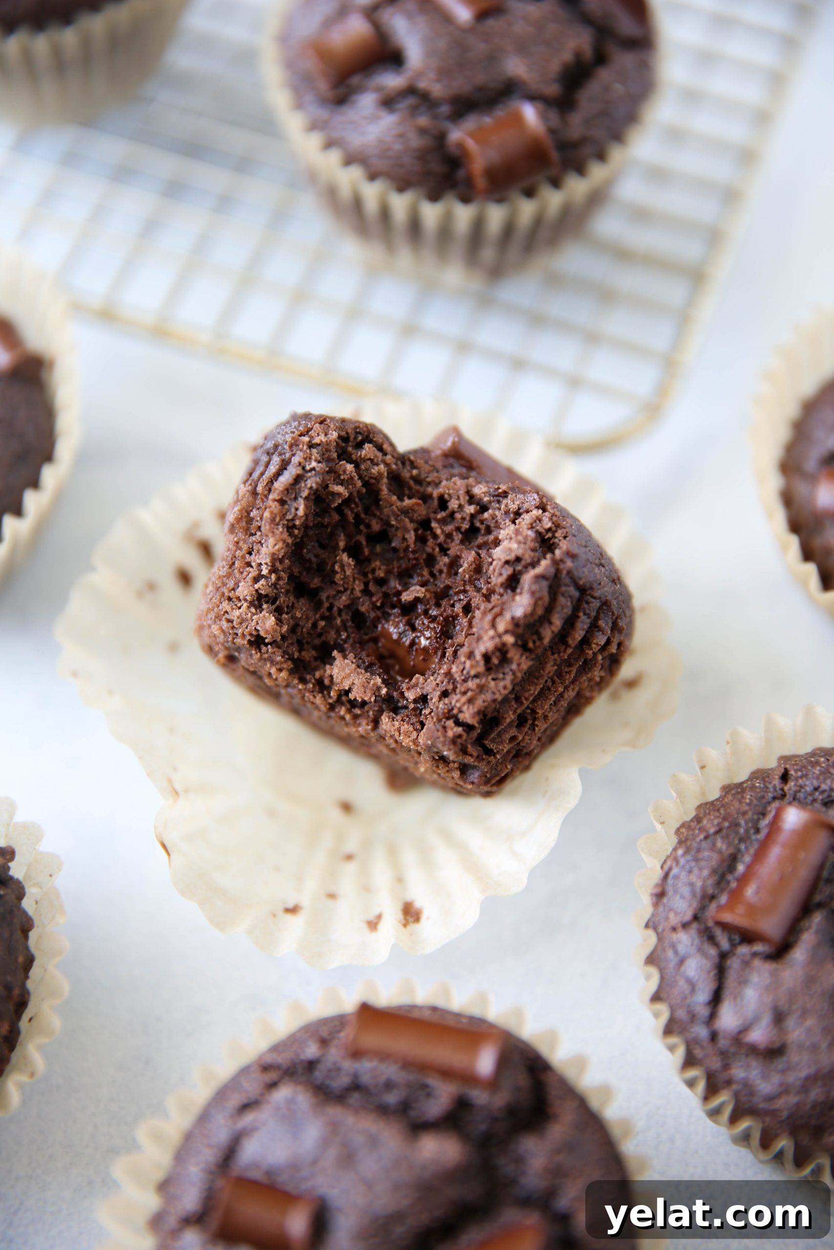 PaleOMG Double Chocolate Greek Yogurt Muffins (yes, dairy-free)