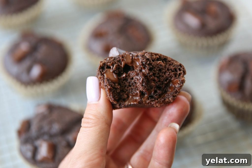 PaleOMG Double Chocolate Greek Yogurt Muffins (yes, dairy-free)