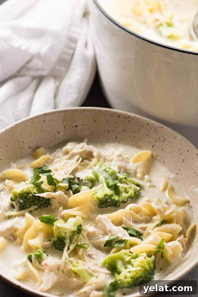 Creamy Chicken Alfredo Soup Recipe for Cozy Weeknight Dinners 2 Easy Chicken Alfredo Soup with Broccoli