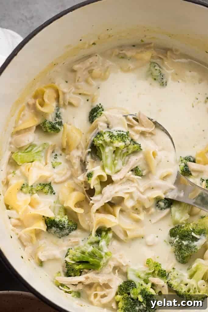Creamy Chicken Alfredo Soup Recipe for Cozy Weeknight Dinners 3 Chicken Alfredo Soup Made in One Pot