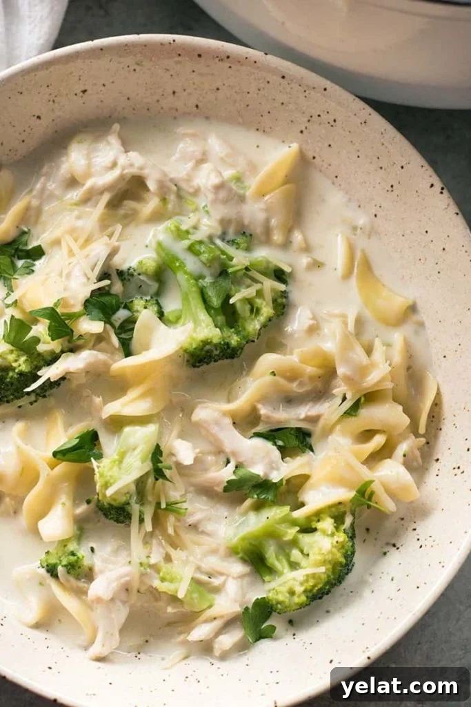 Creamy Chicken Alfredo Soup Recipe for Cozy Weeknight Dinners 4 Cheesy Creamy Chicken Alfredo Soup