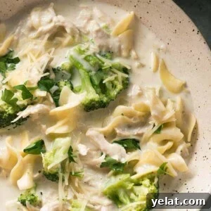 Creamy Chicken Alfredo Soup Recipe for Cozy Weeknight Dinners 5 Cheesy Creamy Chicken Alfredo Soup