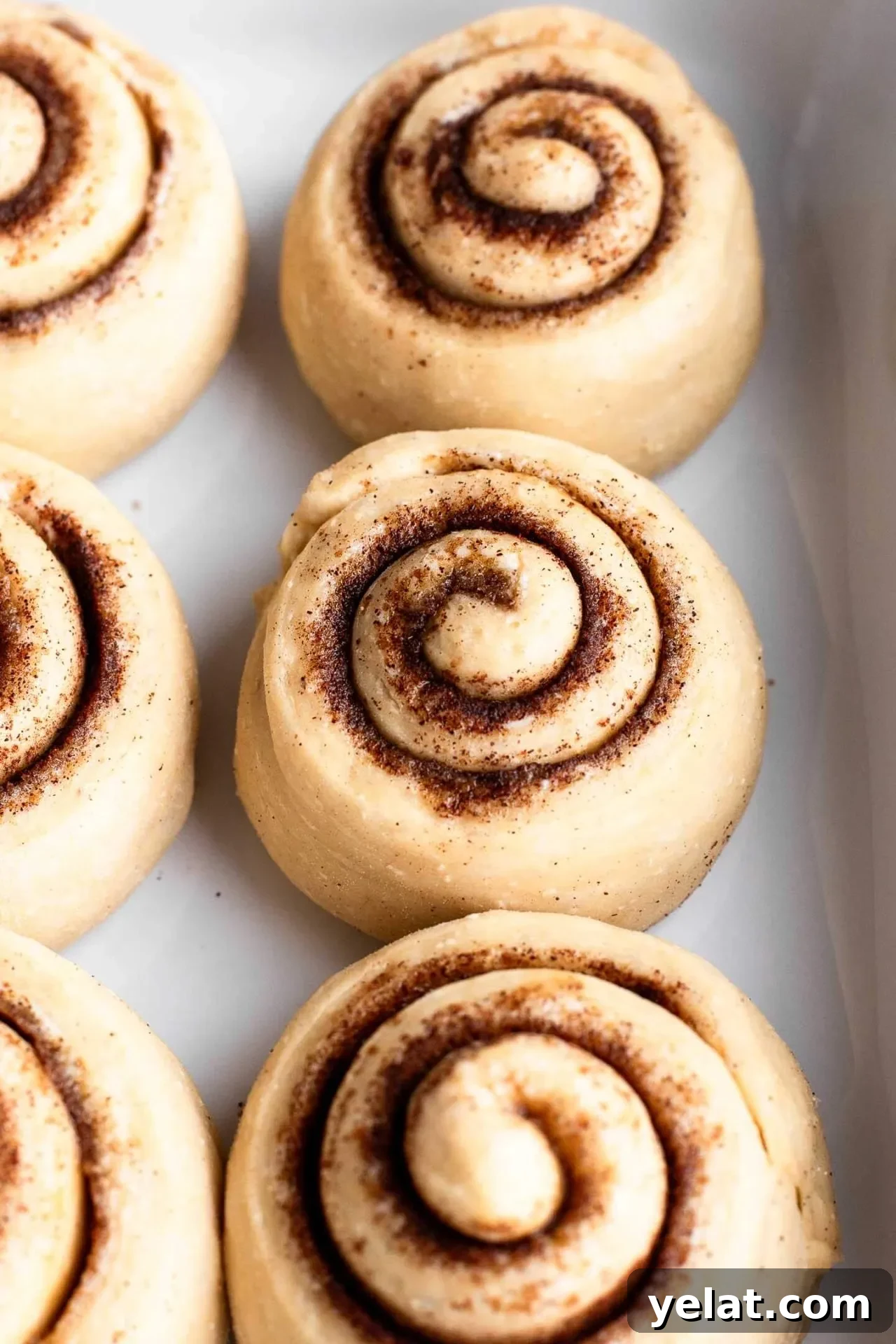 Cinnamon Rolls for Two: Small-Batch Recipe for Soft, Gooey Treats 10 small batch cinnamon rolls in baking pan after rise