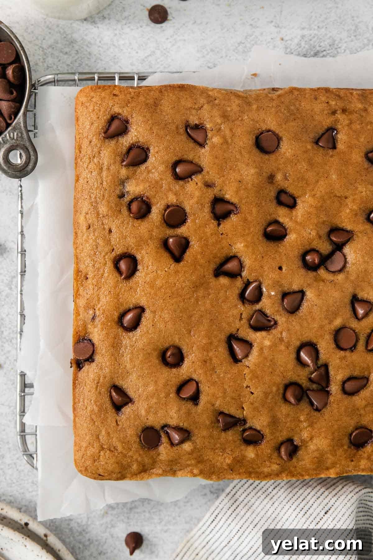 Gluten-free applesauce snack cake on parchment paper
