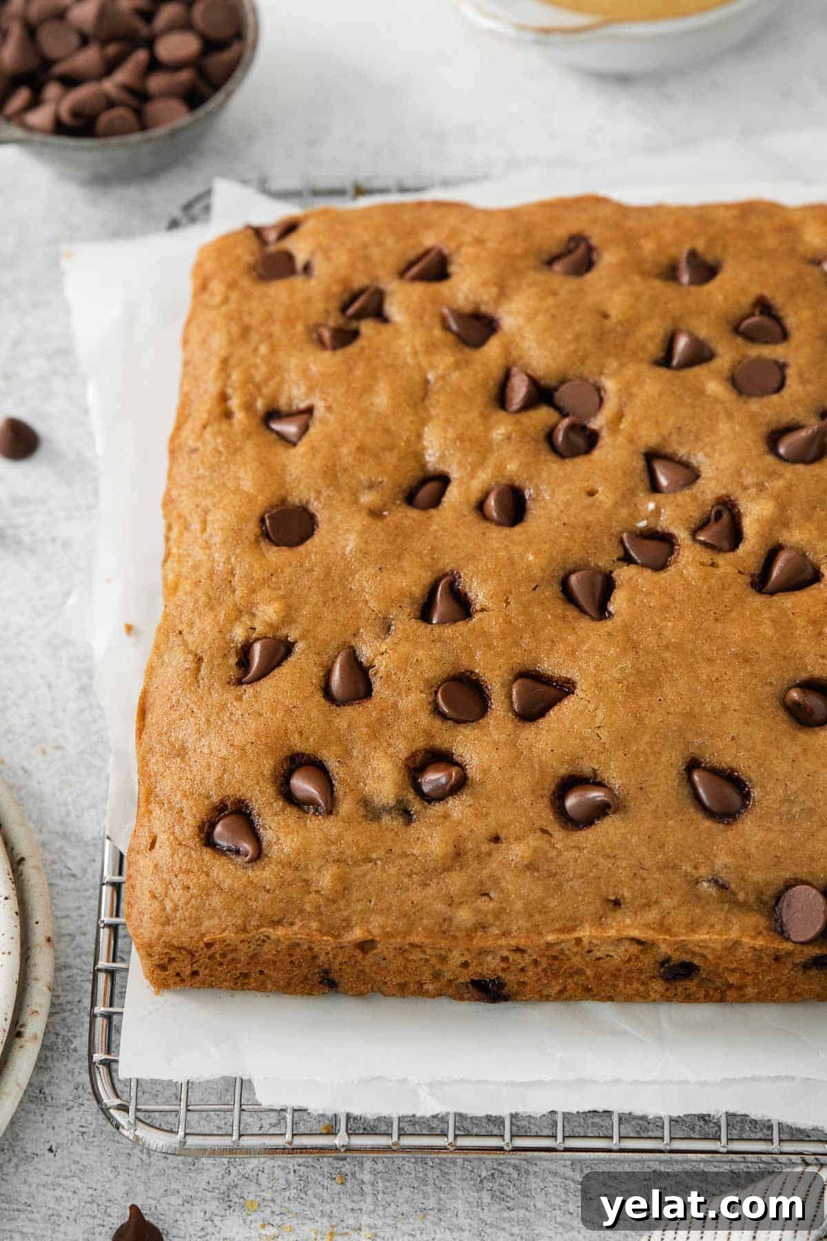A side view of Gluten-free applesauce snack cake on parchment paper