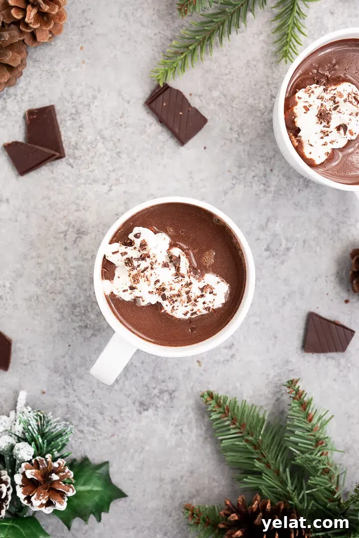 Nutritious Hot Chocolate Recipe for Cozy Winter Nights 2 hot chocolate with whipped topping