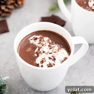 Nutritious Hot Chocolate Recipe for Cozy Winter Nights 11 hot chocolate with honey in a mug