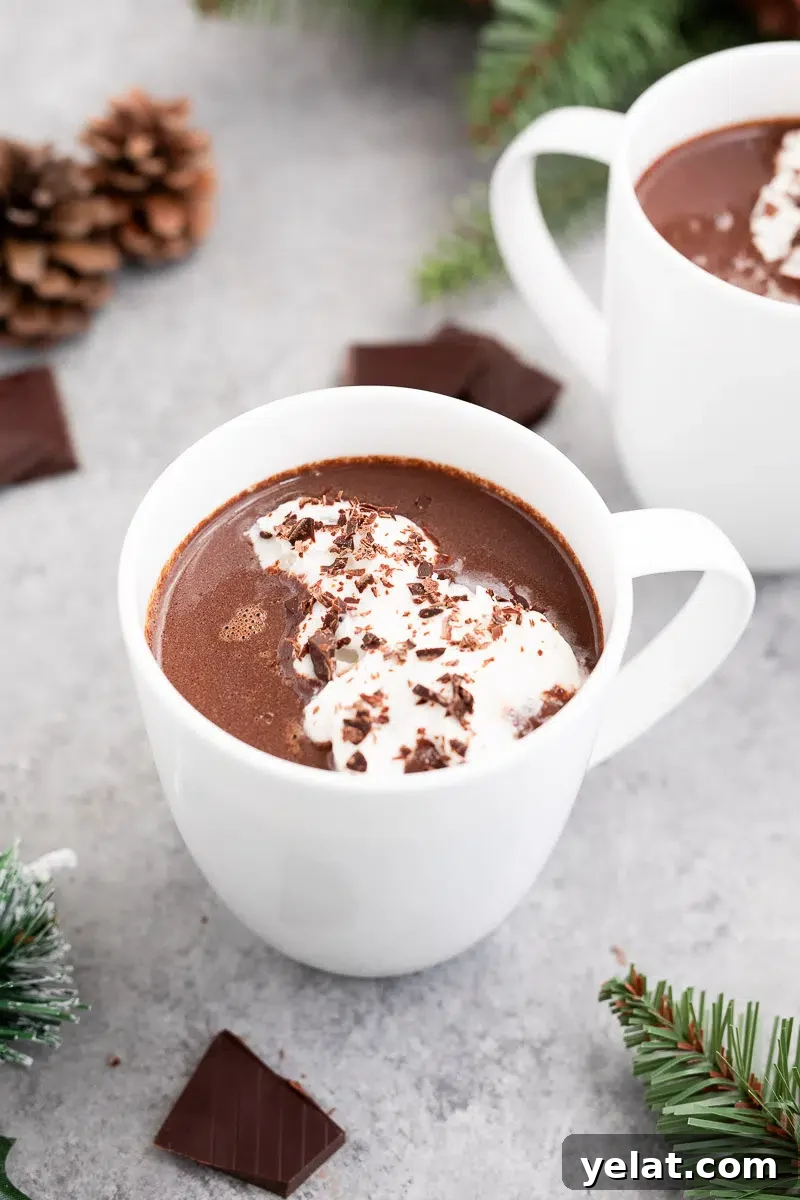 Nutritious Hot Chocolate Recipe for Cozy Winter Nights 9 hot chocolate with honey in a mug