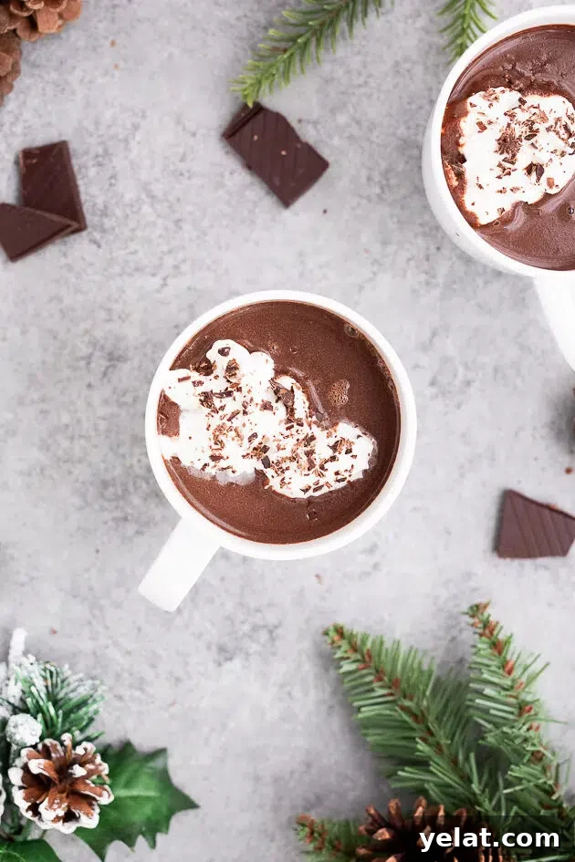 Nutritious Hot Chocolate Recipe for Cozy Winter Nights 10 dairy free hot chocolate in a mug