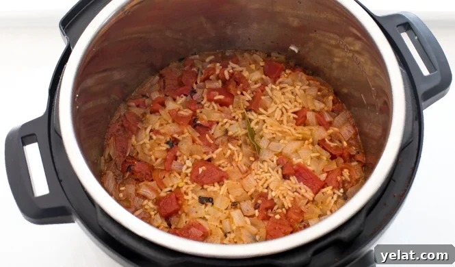 Finished rice in the instant pot. 
