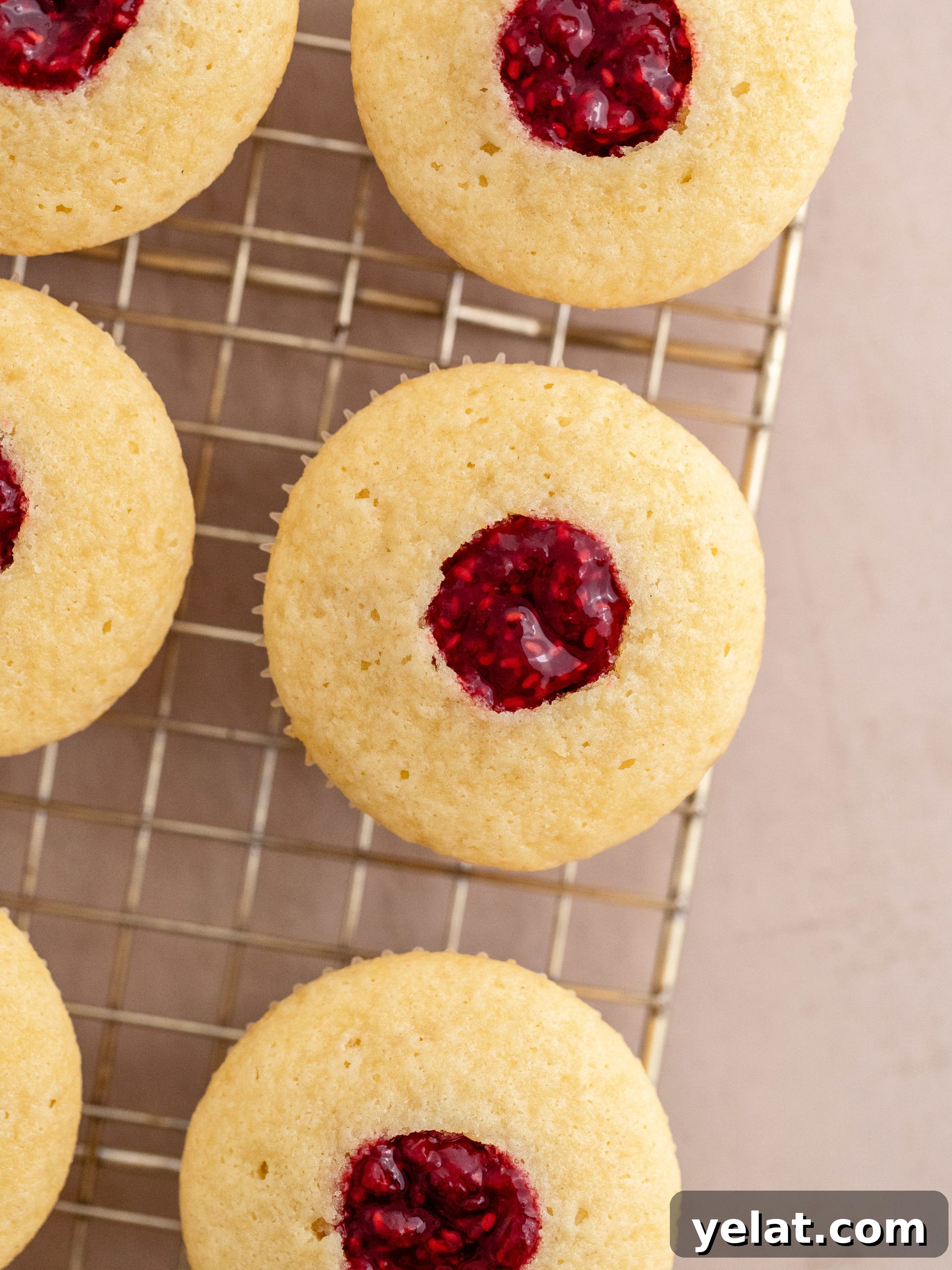 Raspberry Cupcakes Recipe: Moist Raspberry Swirl Cupcakes 6 img 4149 6