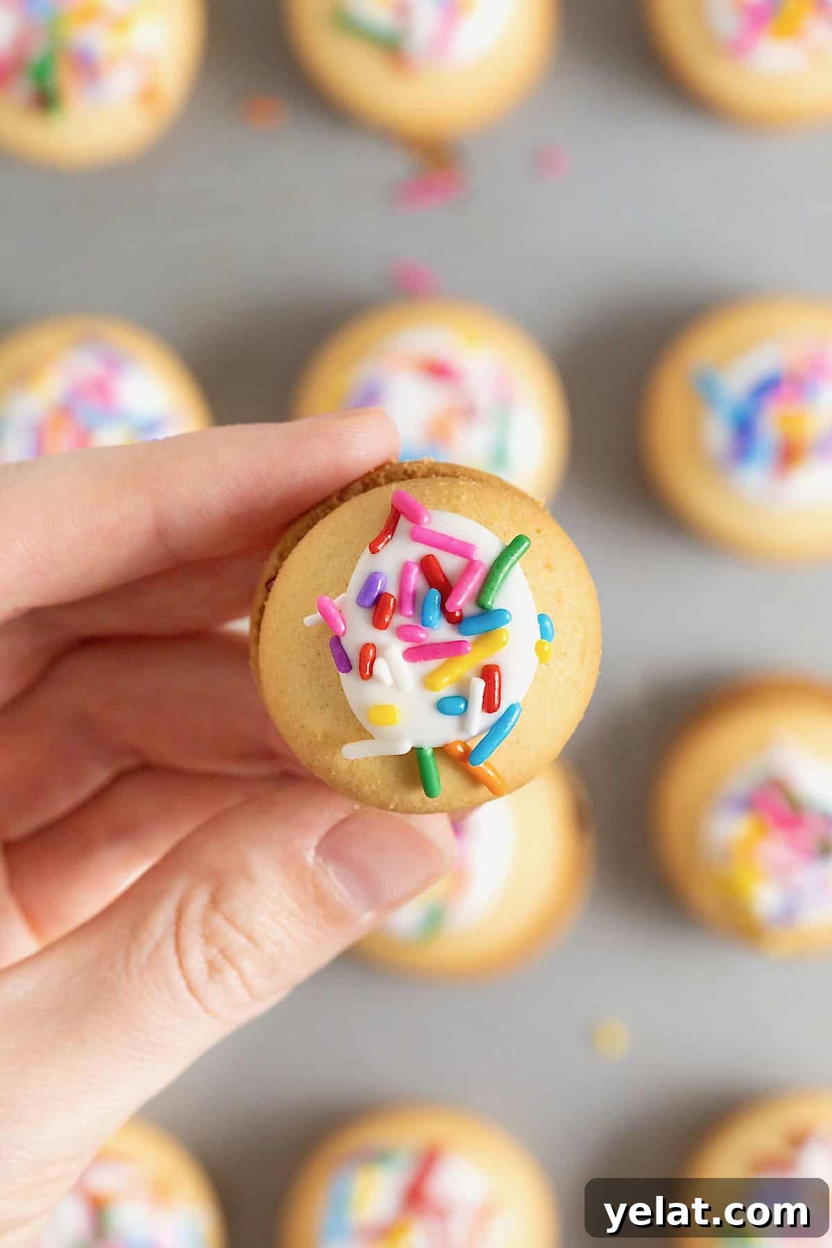 A hand holding a Nilla Wafer Pop Tart bite.