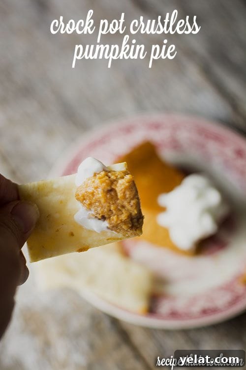 Crustless Pumpkin Pie Made in the Crock Pot: Creamy Slow-Cooker Recipe 6 Crock Pot Crustless Pumpkin Pie - This recipe for a crustless version of the holiday favorite bakes up beautifully in your slow cooker freeing up the oven. Throw on a quick pan of pie crust strips and you have the perfect dessert for crust lovers and crust haters alike!