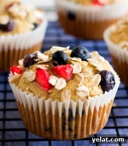 vegan healthy muffins