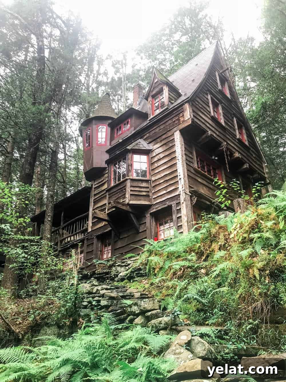 Sunday Slate Volume 14: Top Stories and Highlights 2 Cabin interior