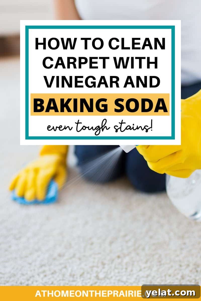 Clean Carpets Naturally: Baking Soda and Vinegar Guide 2 how to clean carpet with vinegar and baking soda even tough stains