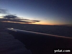 Flight view to IL