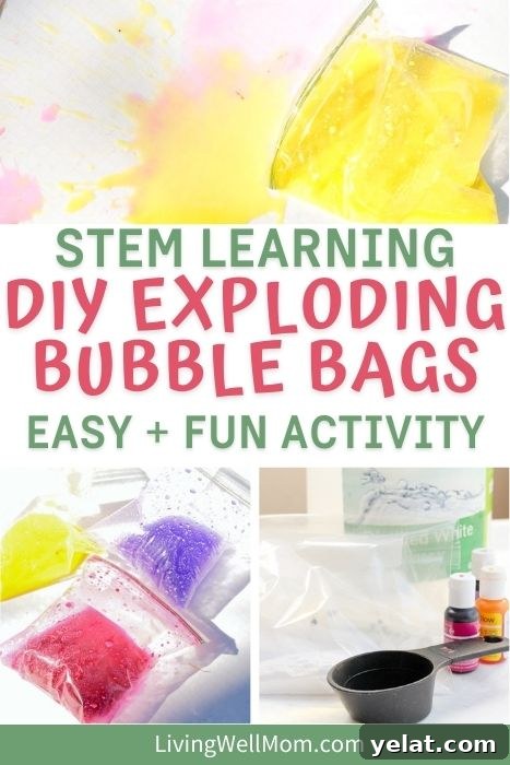 collage of images for exploding bags