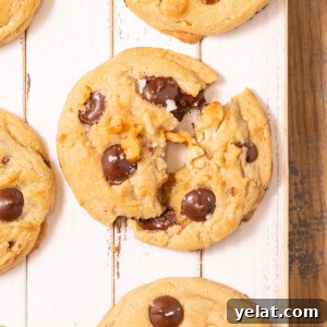 Overhead image of chocolate chip walnut cookies with center one broken in half.