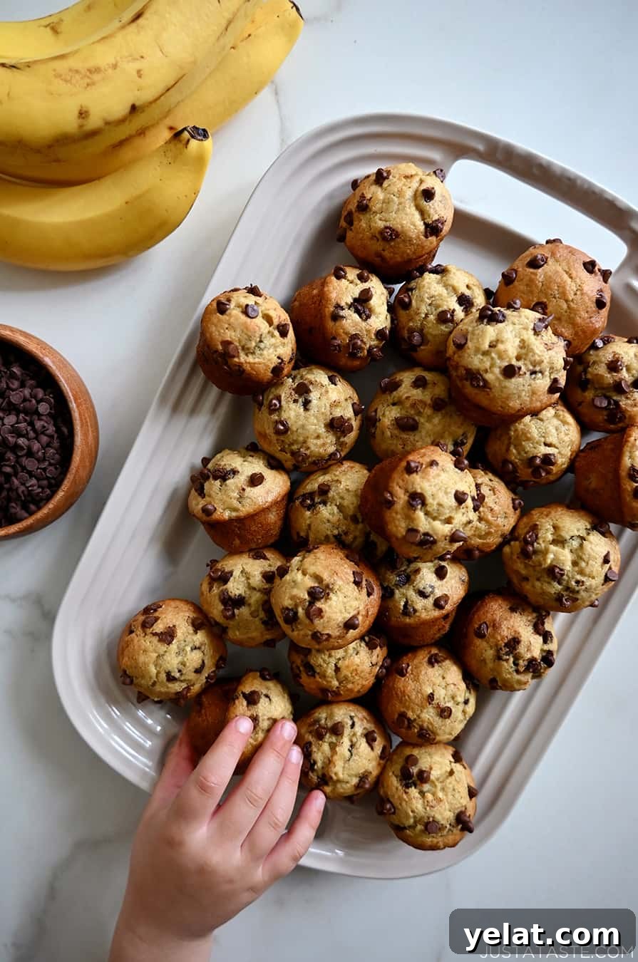 A child's hand reaches for a muffin on a platter piled high with Mini Banana Chocolate Chip Muffins