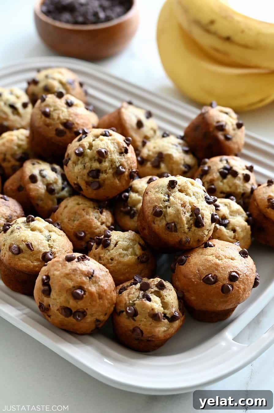 Mini Chocolate Chip Banana Muffins on a white serving platter next to a bunch of ripe bananas