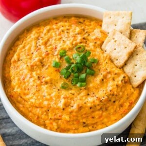 Roasted Red Pepper Cashew-Parsnip Dip (Vegan) 14 A bowl of vegan roasted red pepper dip garnished with chopped green onion and with four crackers in it.
