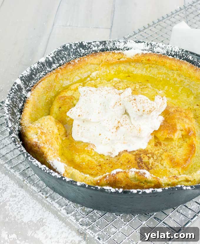 Pumpkin Pie Dutch Baby — Fluffy Autumn Skillet Pancake Recipe 2 Pumpkin Pie Dutch Baby in a cat iron skillet with whipped cream