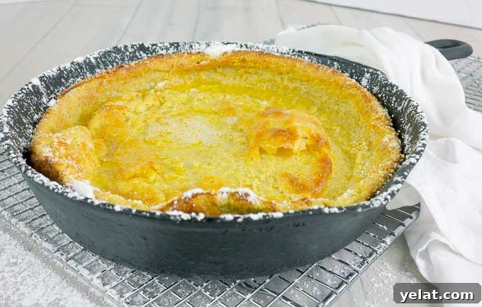 Pumpkin Pie Dutch Baby — Fluffy Autumn Skillet Pancake Recipe 3 Pumpkin Pie Dutch Baby in a cat iron skillet