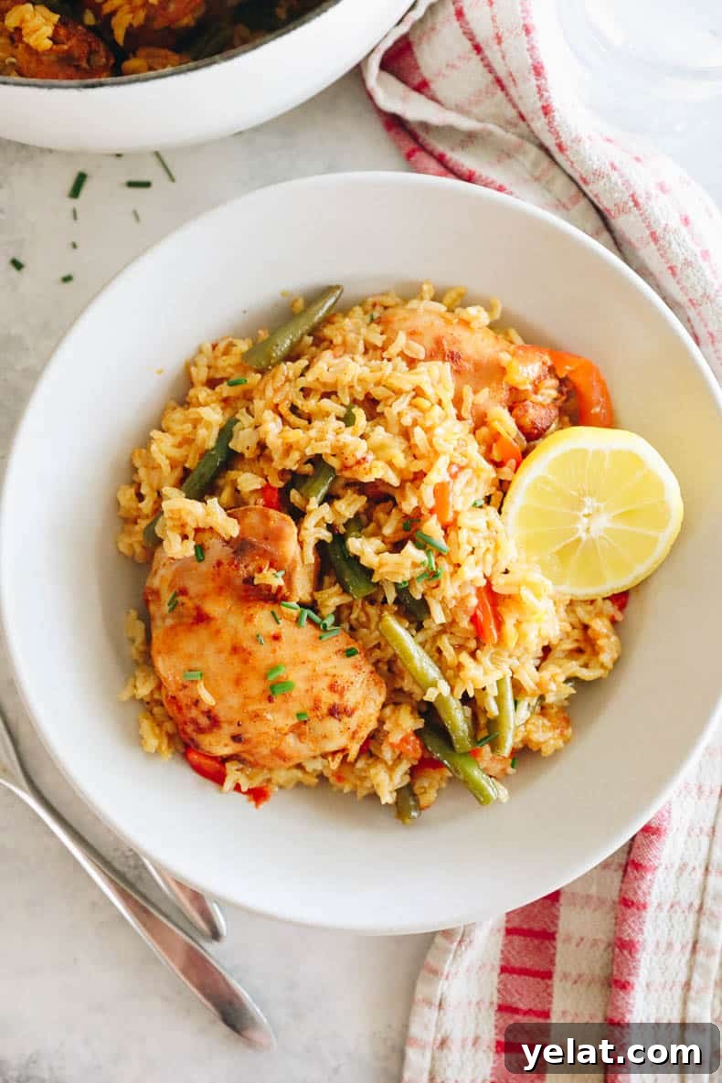 overhead of one pot chicken and rice recipe