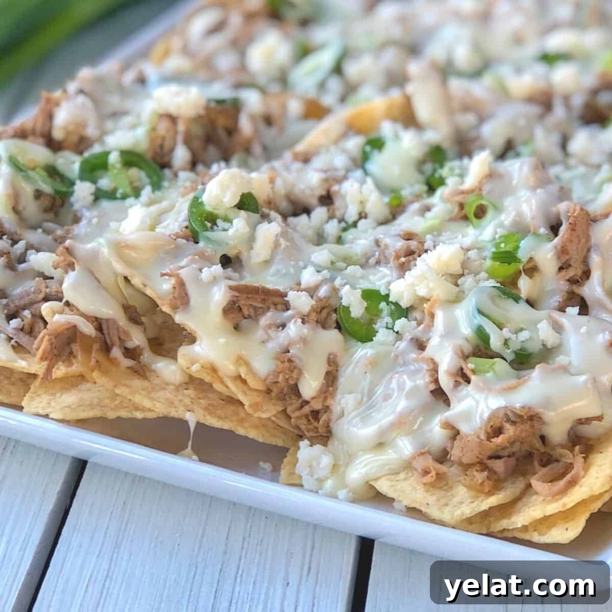 crock pot pulled pork nachos on a plate