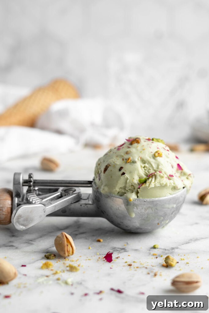 Homemade Pistachio Ice Cream Recipe with Creamy Texture 2 Scoop of pistachio ice cream