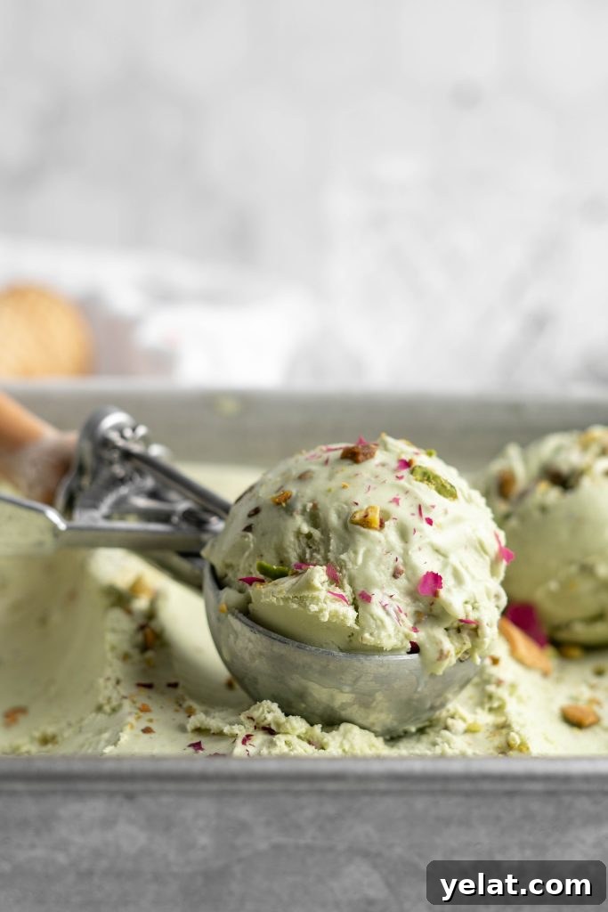 Homemade Pistachio Ice Cream Recipe with Creamy Texture 7 Scoop of pistachio ice cream