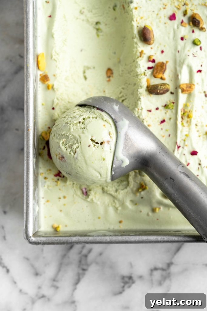 Homemade Pistachio Ice Cream Recipe with Creamy Texture 9 Scoop of pistachio ice cream
