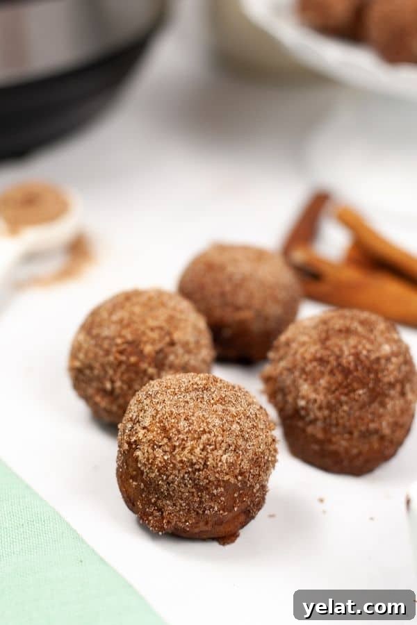 4 Instant Pot Churro Bites on a white plate