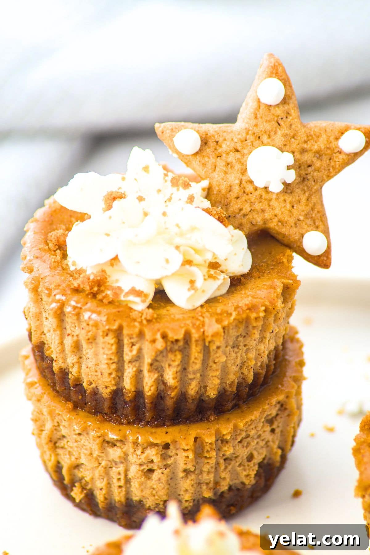 Mini Gingerbread Cheesecakes (Gluten-Free, Dairy-Free Option) Up close view of a stack of mini gingerbread cheesecakes