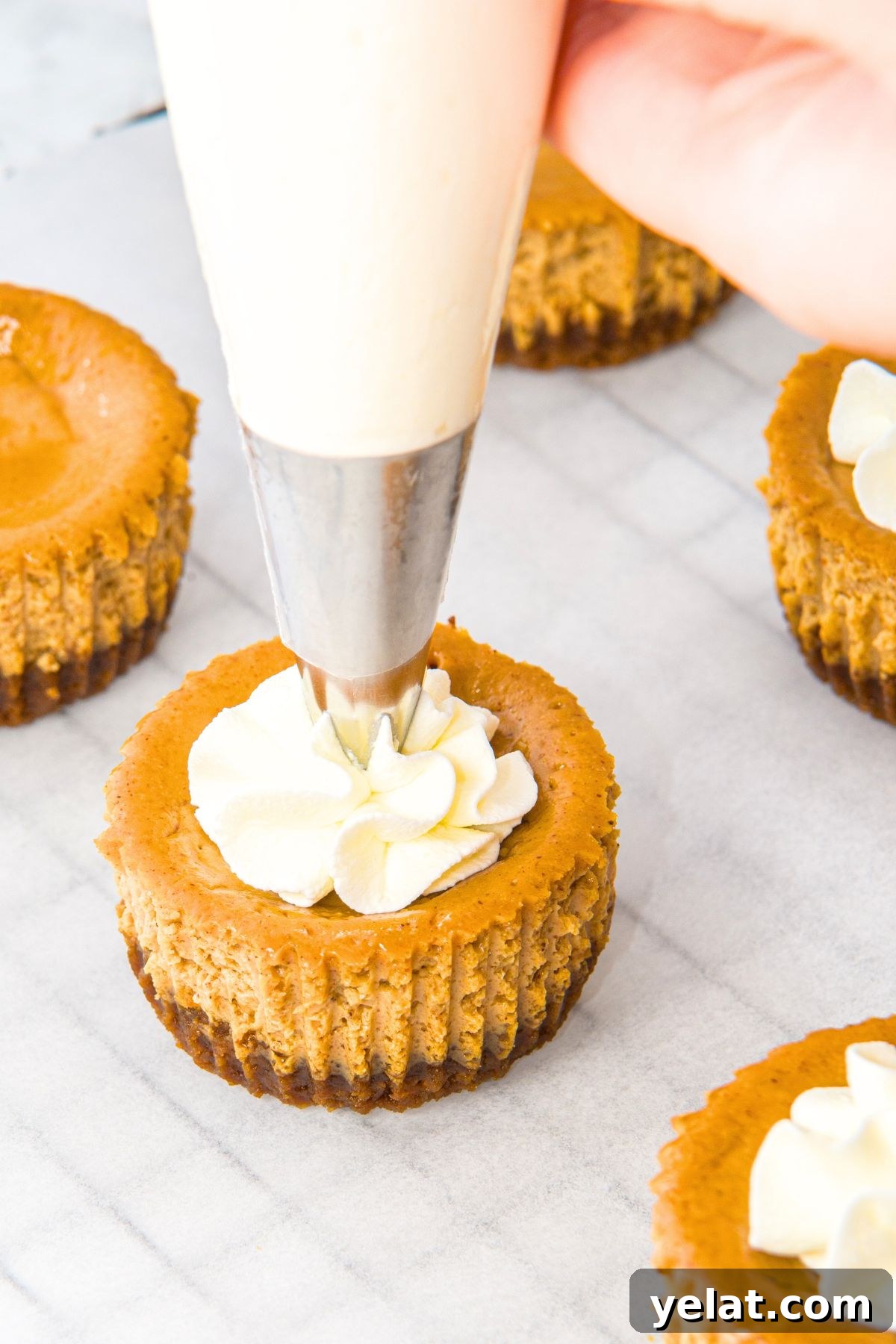 Mini Gluten-Free Gingerbread Cheesecakes Piping whipped cream on top of mini gingerbread cheesecakes