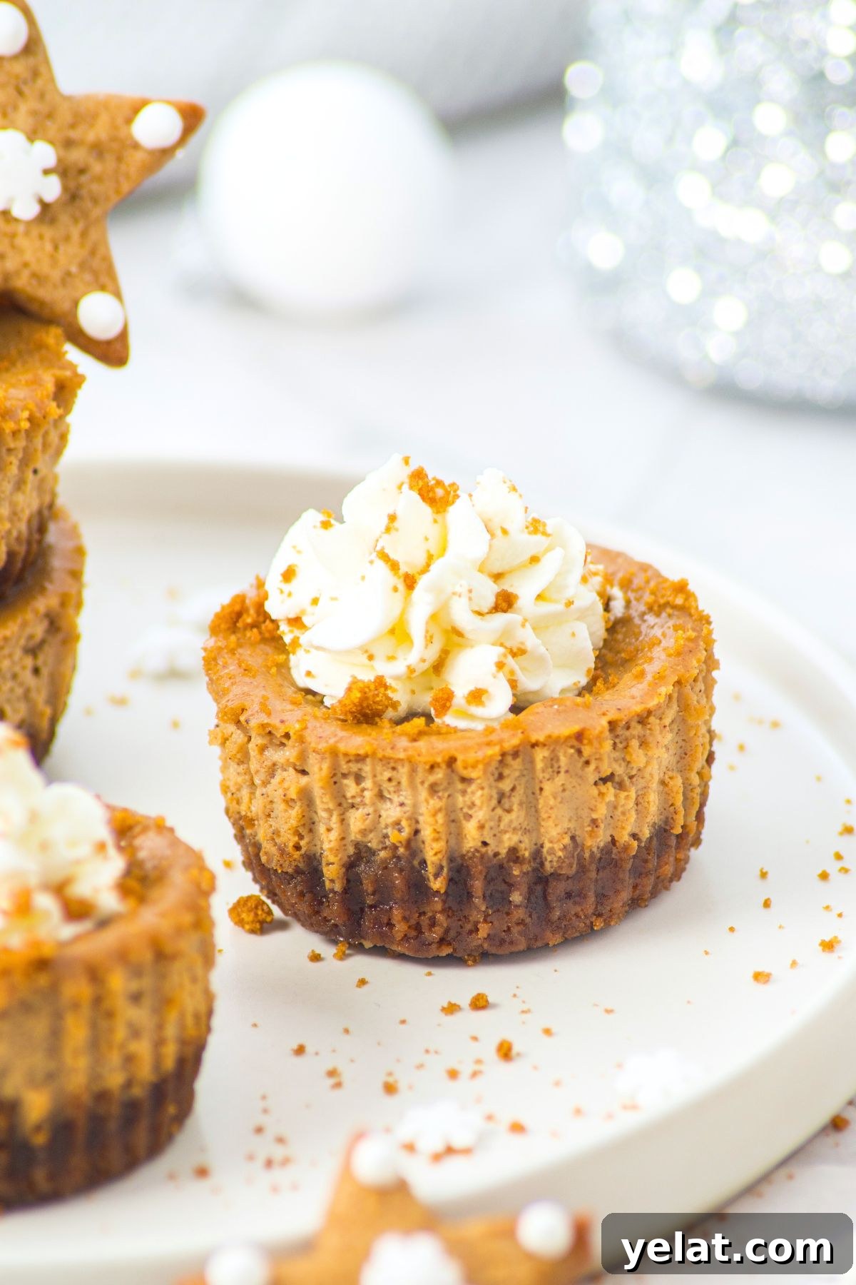 Easy Gluten-Free Gingerbread Cheesecakes img 54493 13