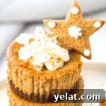 Up close view of mini gingerbread cheesecakes