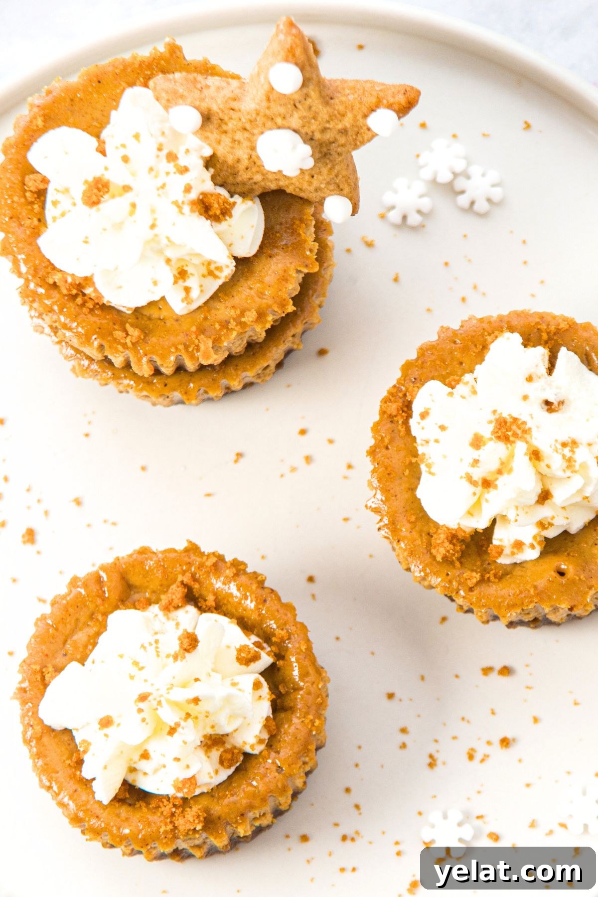 Gingerbread Mini Cheesecakes (Gluten-Free) Top down view of gingerbread mini cheesecakes on white plate
